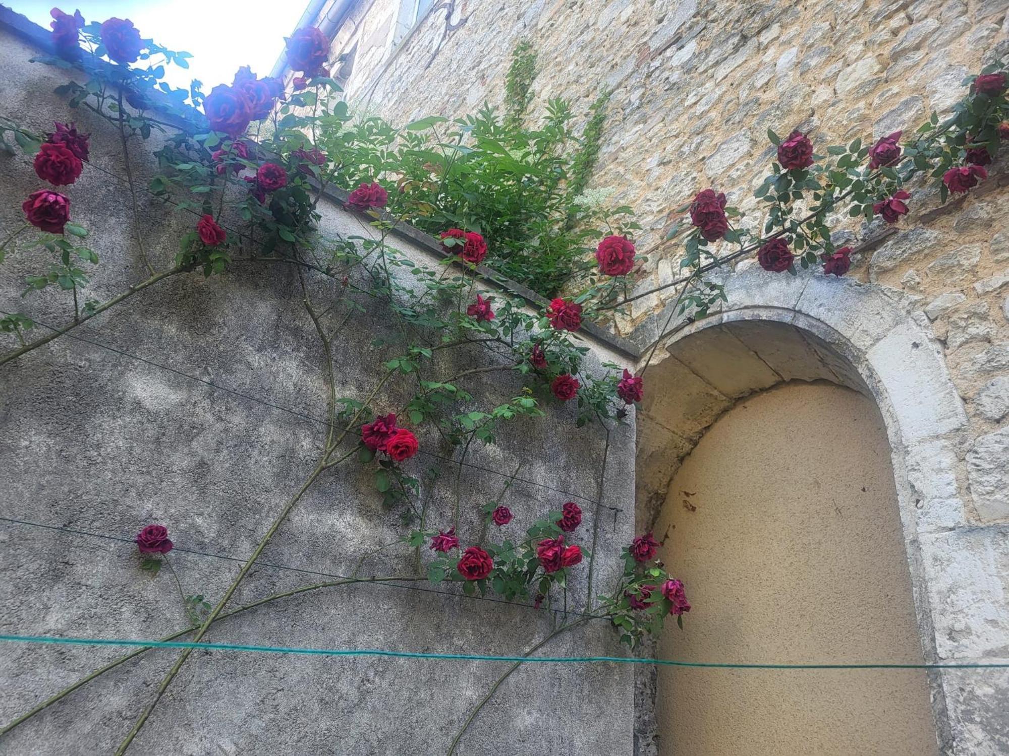 Au Puits De L'Abbaye Διαμέρισμα Μπουρζ Εξωτερικό φωτογραφία